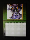 Calendrier 2011-08